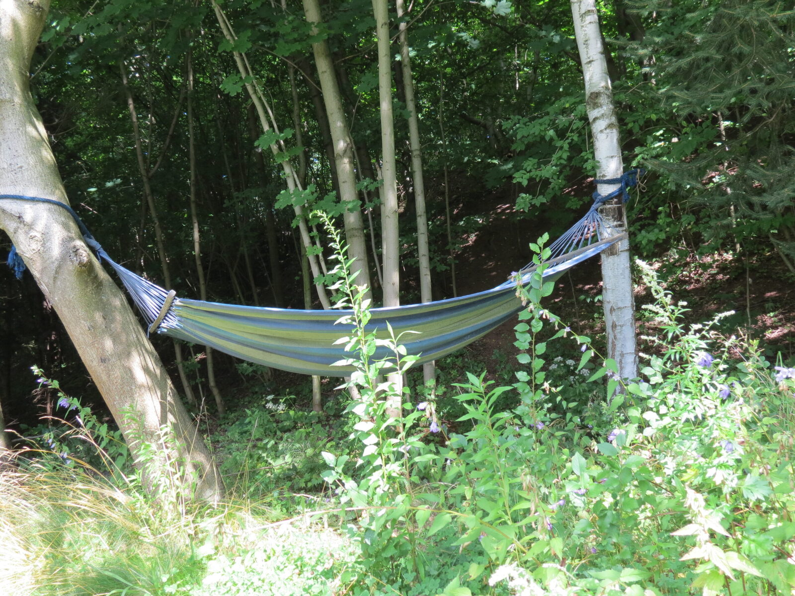 Camp Pod Lasem